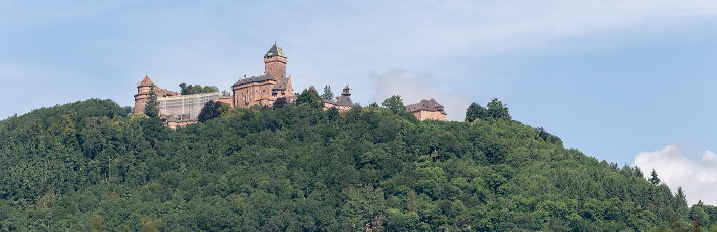 Le château du Haut-Koenigsbourg au sommet de sa montagne boisée